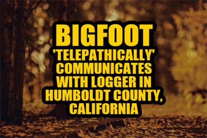Bigfoot1