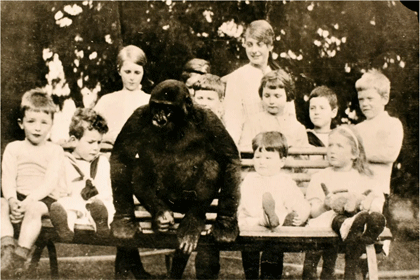 Gorilla1