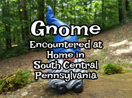 Gnome1