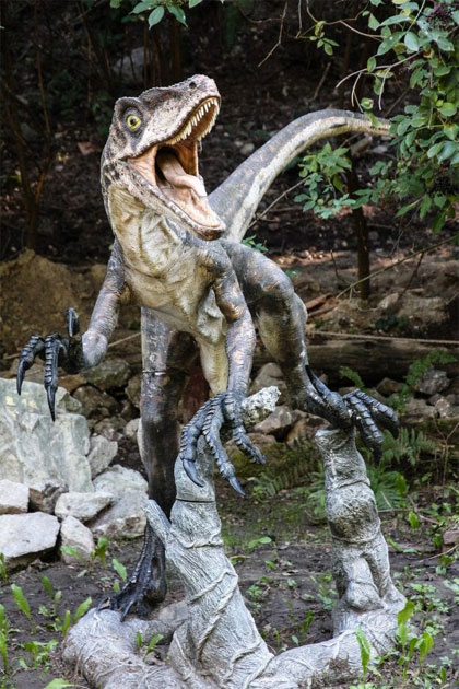 Vectiraptor1