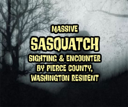 Sasquatch1