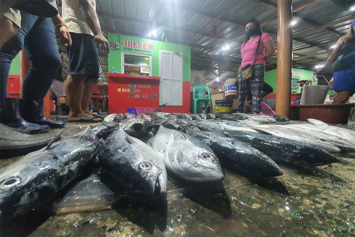 Rosario fish port thrives in 'bulungan' - Journalnews