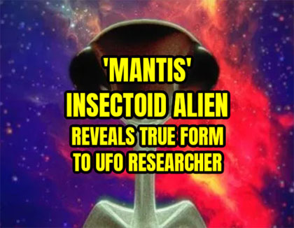 Mantis1