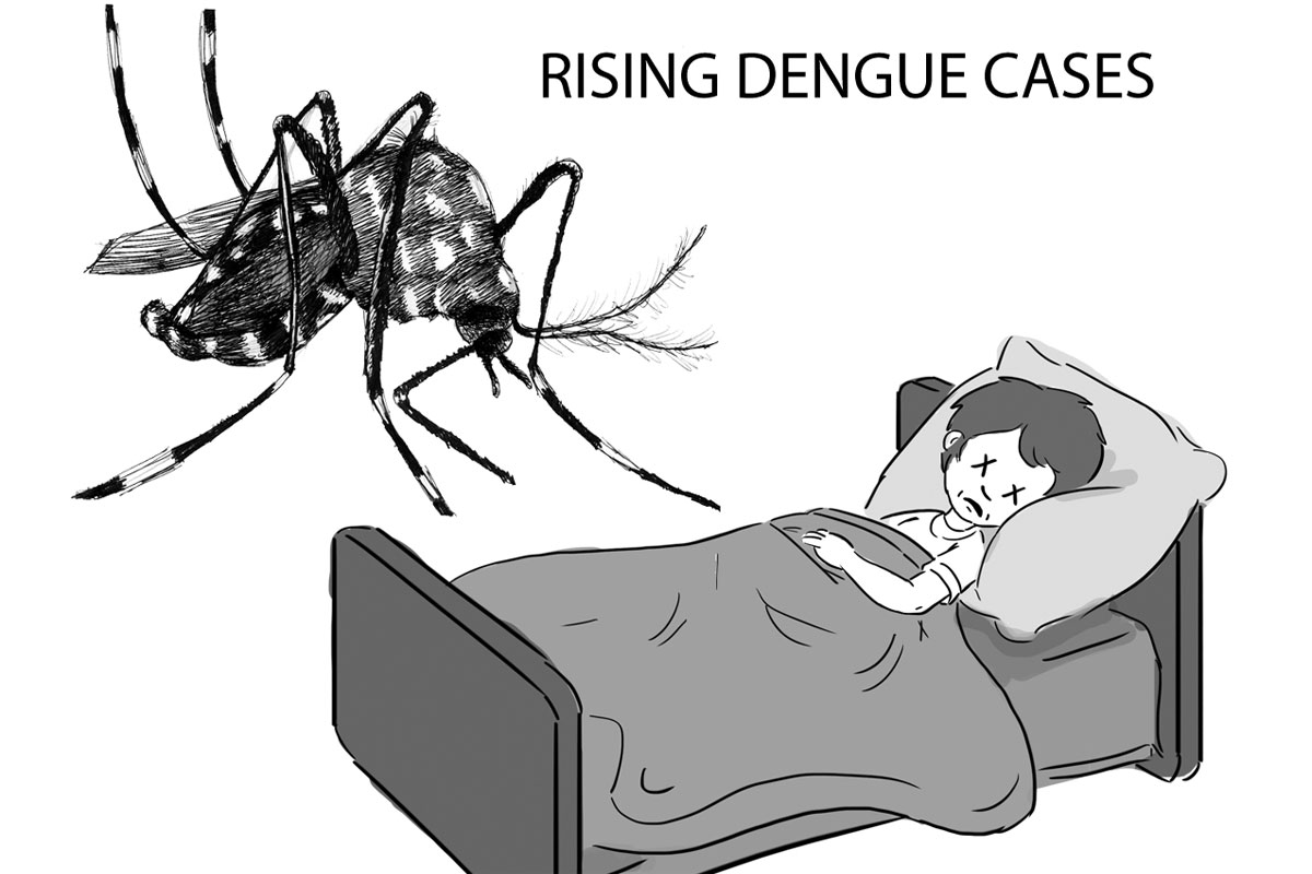 Dengue cases - Journalnews
