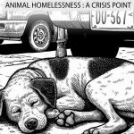 Animal Homelessness